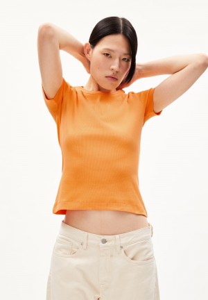 ARMEDANGELS KARDAA Rib-T-Shirt Regular Fit made of Organic Cotton Mix Mangorange | 5102479-NU